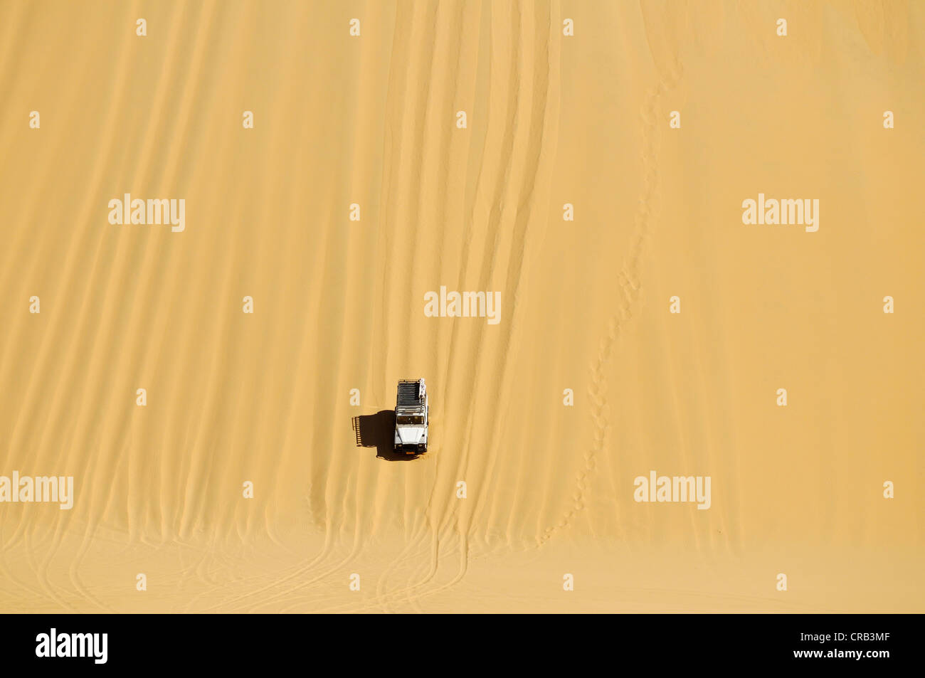 Landrover Defender Geländewagen fahren auf eine riesige Düne, Nationalpark, Teil des namibischen Skeleton Coast Nationalpark Stockfoto