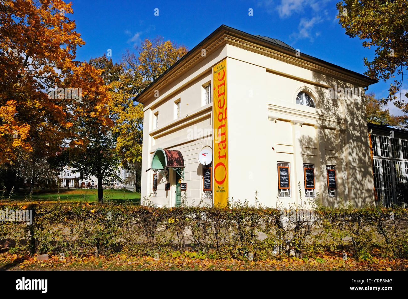 Café in der Orangerie von Schloss Luebbenau Schloss Lübbenau im Spreewald, Niederlausitz, Lusatia, Stockfoto