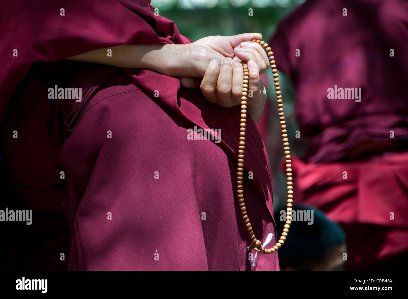 Junge Mönche während ihrer täglichen Diskussion Runde in Saga Tempel, Lhasa, Tibet, Asien Stockfoto