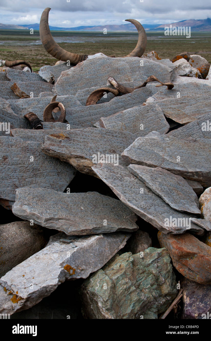 Gebet-Steinen entlang der Kailash Kora Wallfahrt Trail, Westtibet, Tibet, Asien Stockfoto