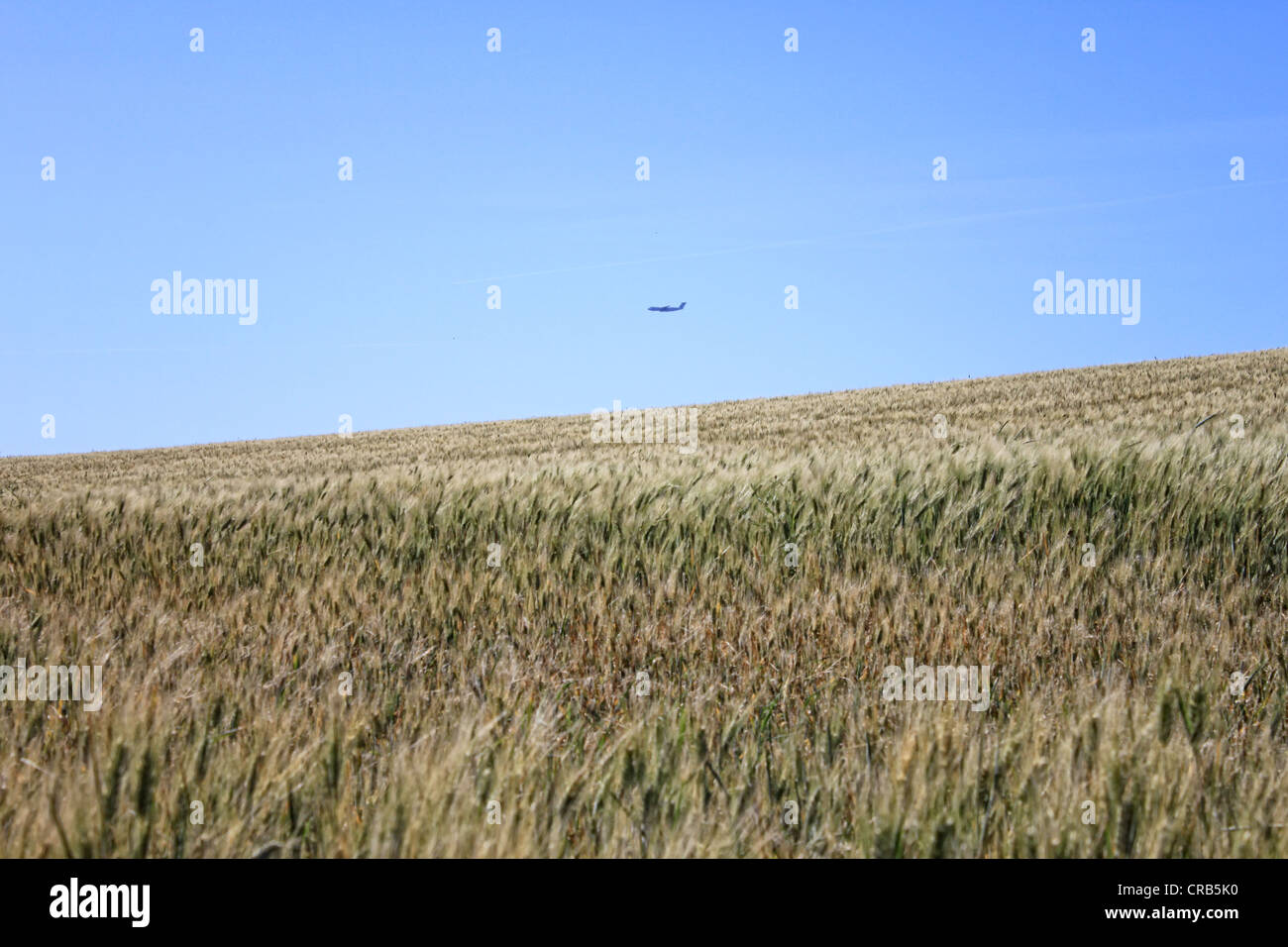 Andalusien, Spanien, Flugzeug Landung obrigen Weizenfelder in der Nähe von Jerez Stockfoto