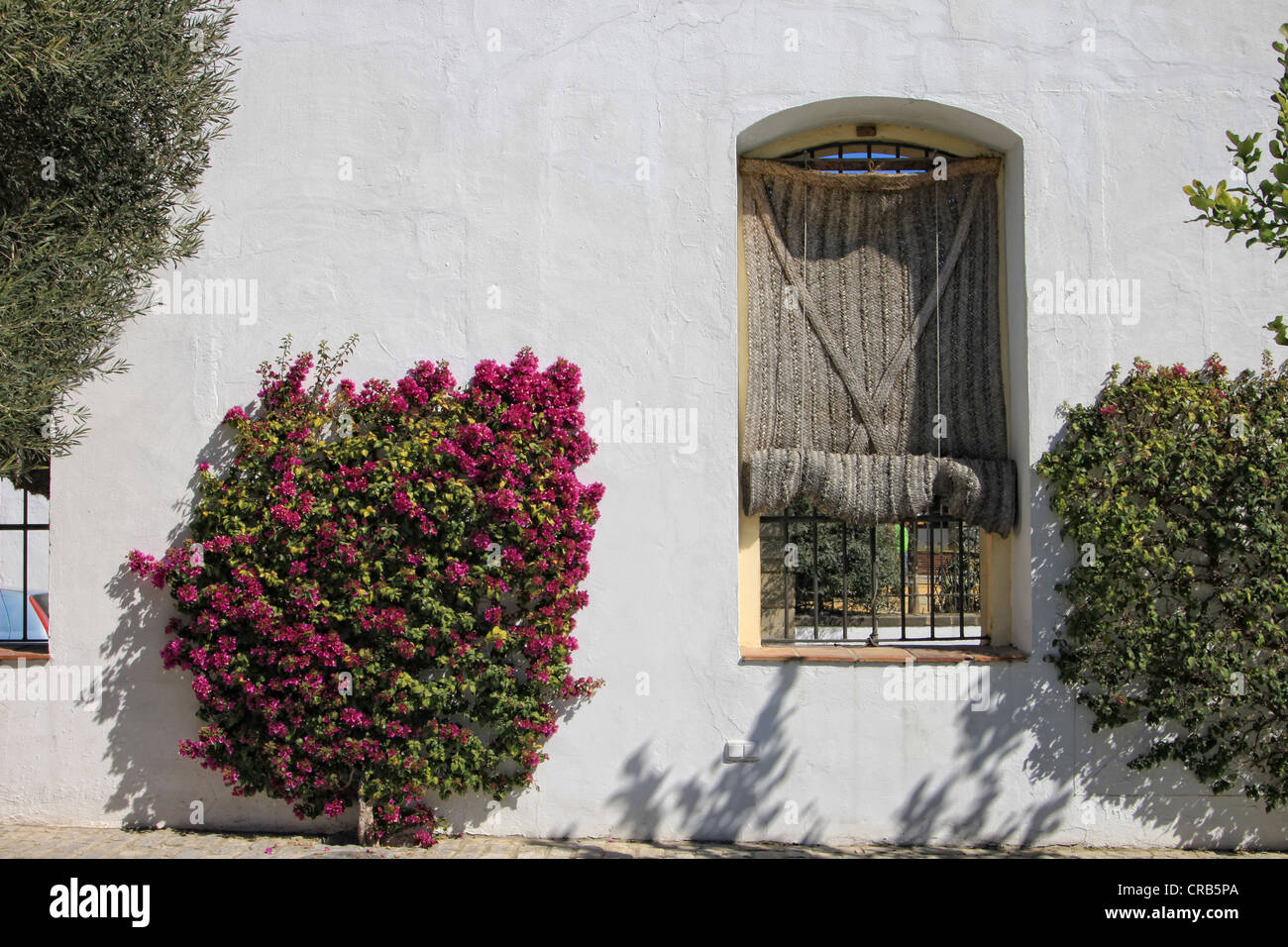 Andalusien, Schule und Museum der Reitkunst in Jerez De La Frontera Stockfoto