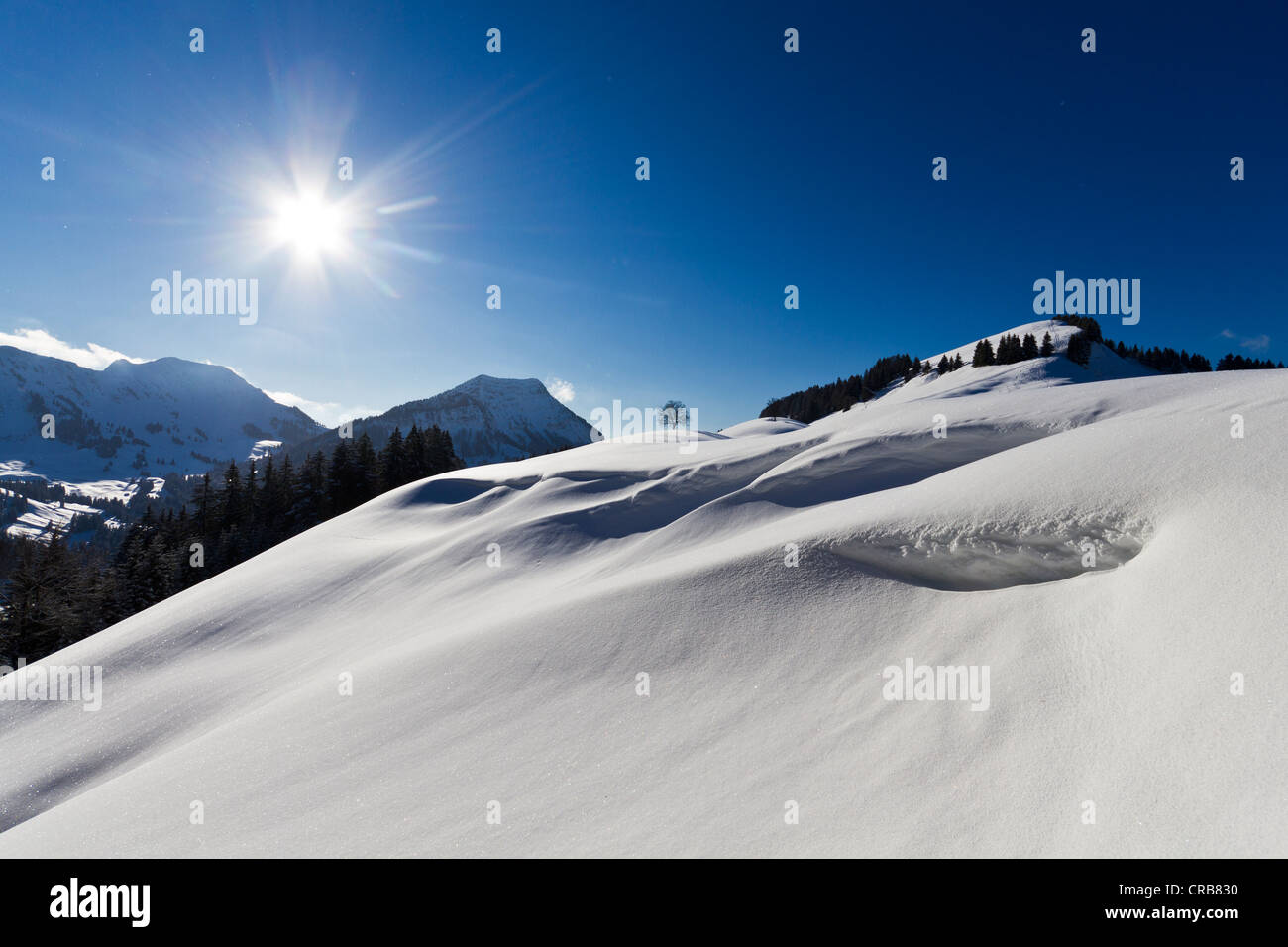 Schnee driftet auf Alp Horn Mountain, Kanton St. Gallen, Schweiz, Europa Stockfoto