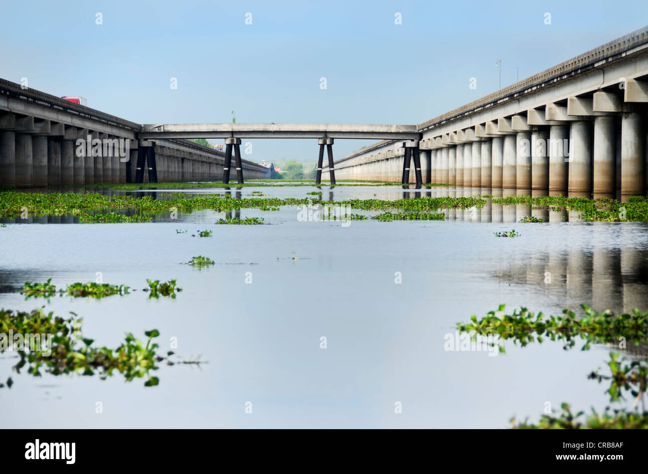 Die Atchafalaya Basin Brücke zwischen Baton Rouge und Lafayette, Louisiana, USA. Die 14. längste Brücke der Welt bei 18,2 Meilen. Stockfoto