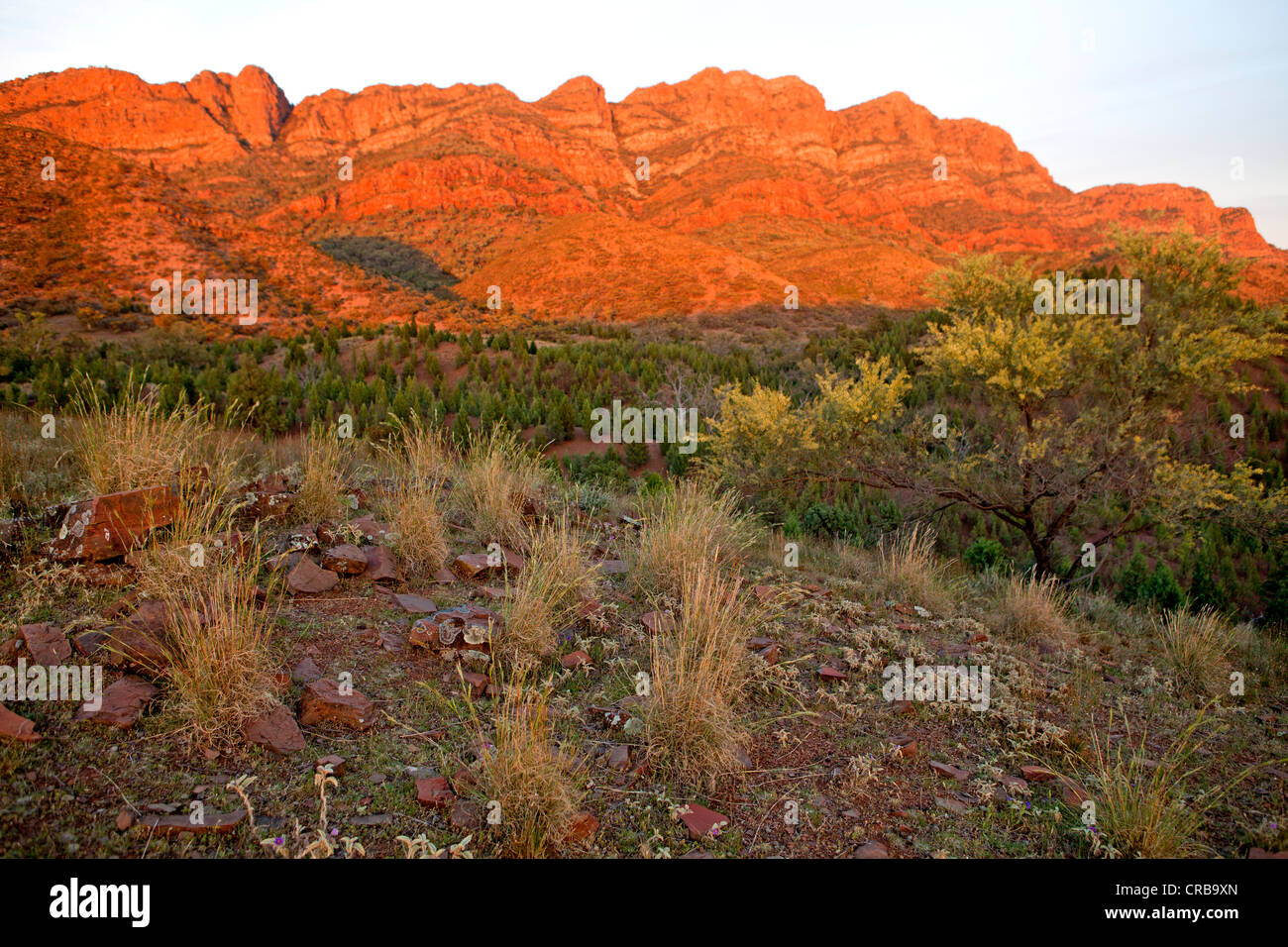 Sonnenaufgang auf der ältesten Range in South Australia Flinders Ranges Stockfoto