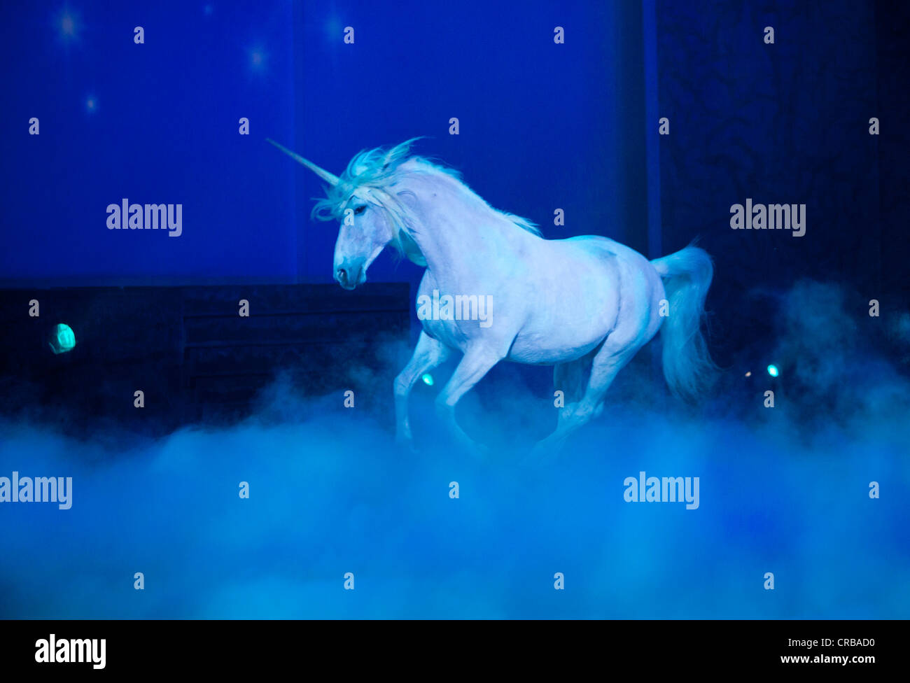 Als ein Einhorn, Magnifico, Pferdevorführung von André Heller, Weltpremiere am 08.02.2011, München, Bayern, Deutschland, Europa Stockfoto