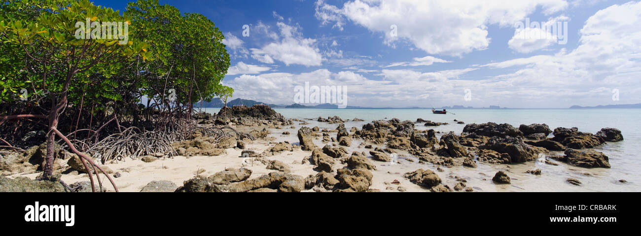 Mangroven auf einem Sandstrand, Koh Kradan Island, Provinz Trang, Thailand, Südostasien, Asien Stockfoto