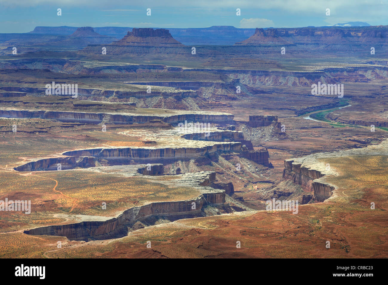Green River Overlook, Labyrinth, Canyonlands National Park, Moab, Utah, Vereinigte Staaten von Amerika USA Stockfoto