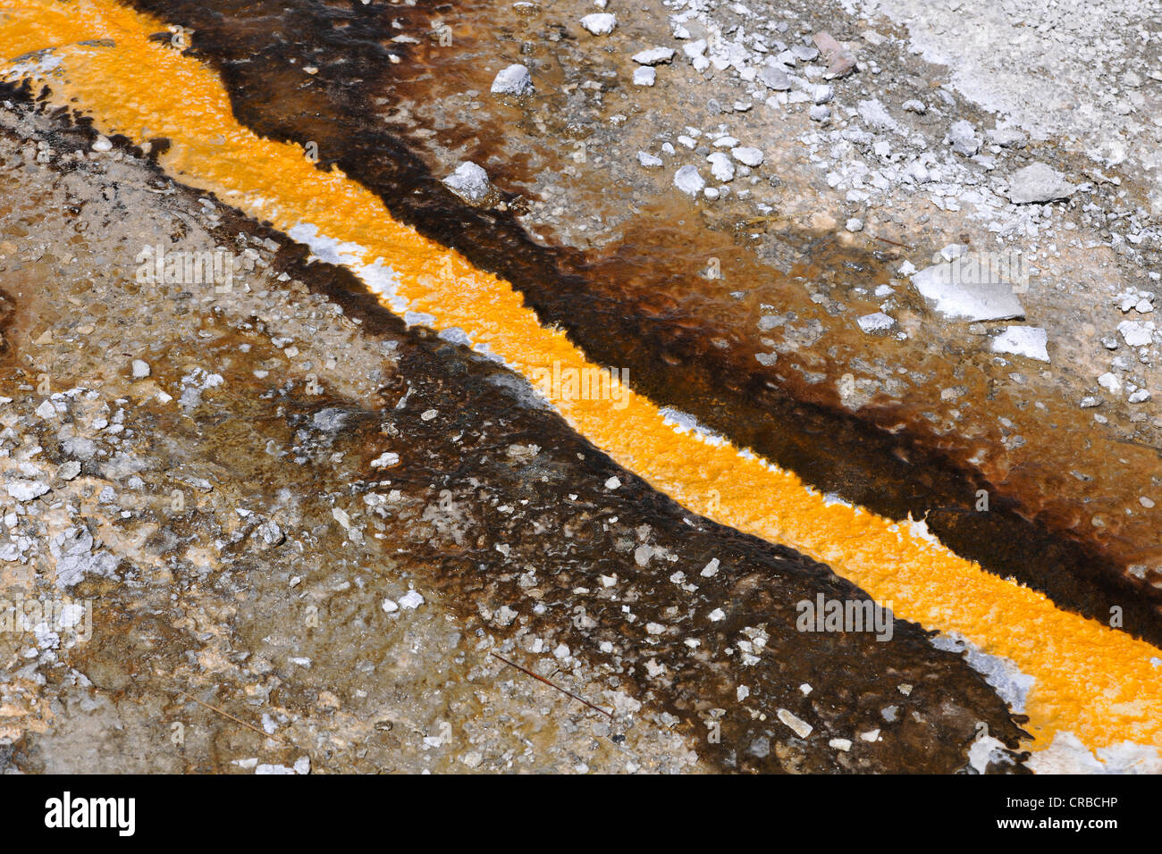 Farbige thermophilen Bakterien, geothermische hot-Pools, Upper Geyser Basin, Yellowstone-Nationalpark, Wyoming, USA Stockfoto