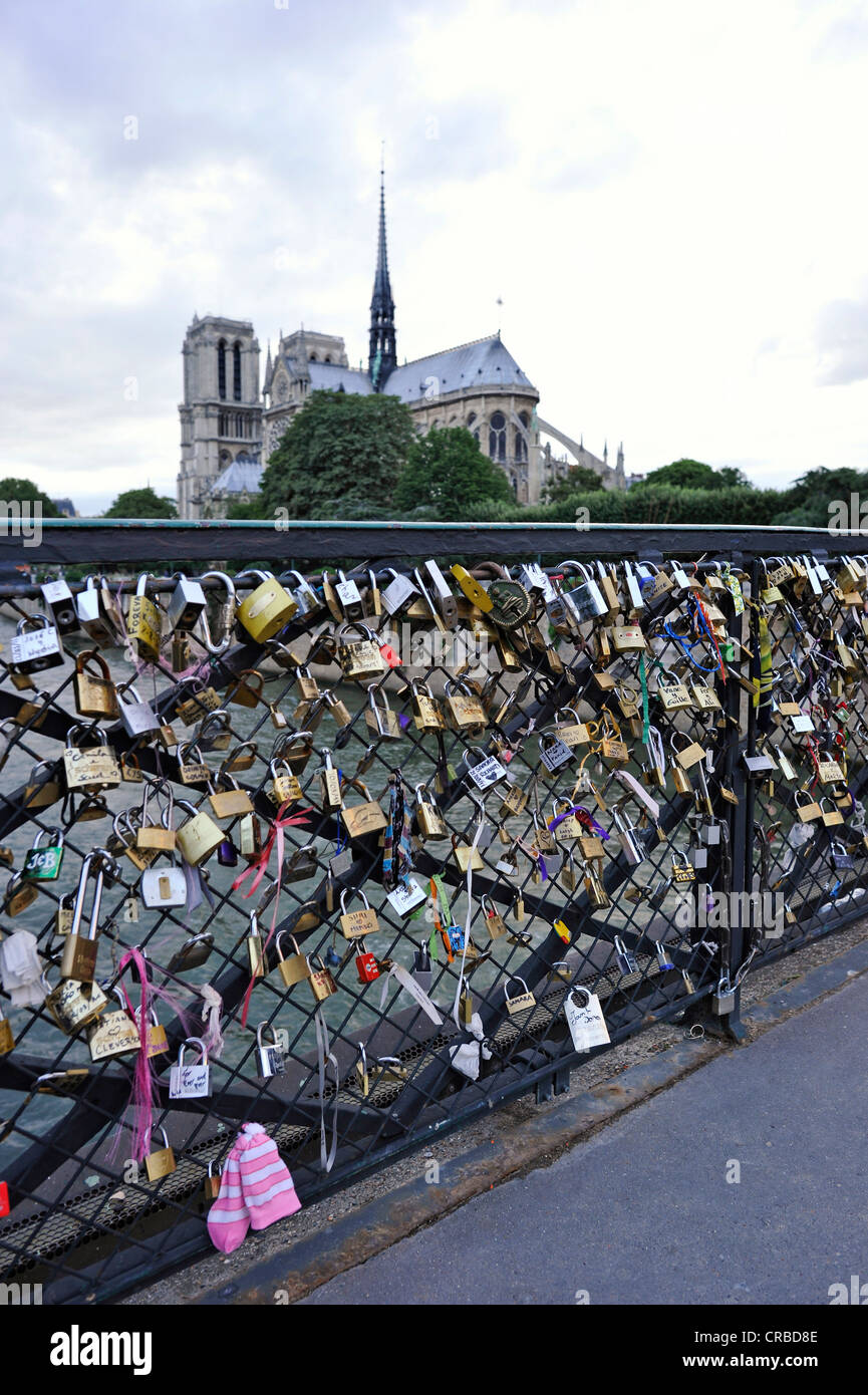 Liebesschlösser auf den Schienen der Brücke Pont de L'Archeveche, Notre Dame de Paris oder die Kathedrale Notre Dame hinten, Ile De La Cité Stockfoto