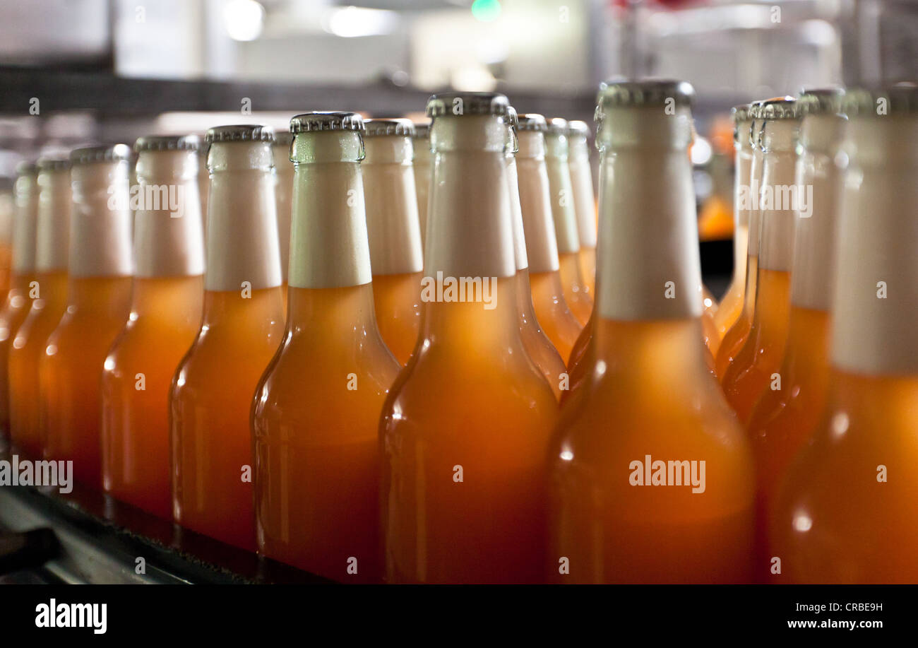 Gefüllten Bierflaschen mit kein Etikett auf einem Förderband, Binding Brauerei, Frankfurt am Main, Hessen, Deutschland, Europa Stockfoto