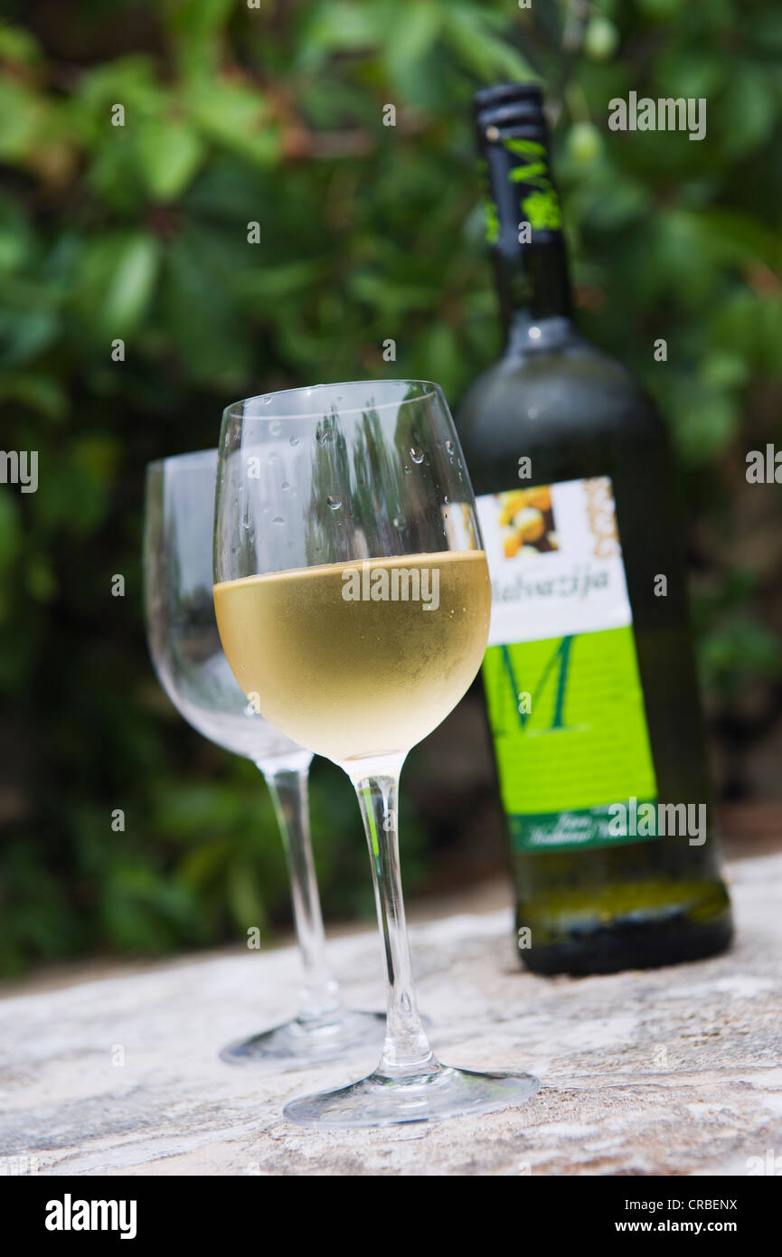 Flasche weißen Wein und Gläser unter einem Olivenbaum, Bol, Insel Brac, Dalmatien, Kroatien, Europa Stockfoto