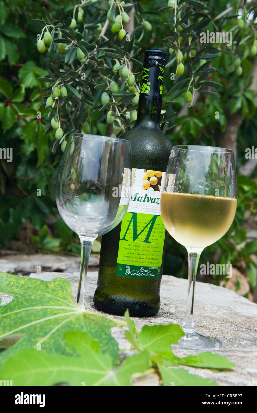 Flasche weißen Wein und Gläser unter einem Olivenbaum, Bol, Insel Brac,  Dalmatien, Kroatien, Europa Stockfotografie - Alamy