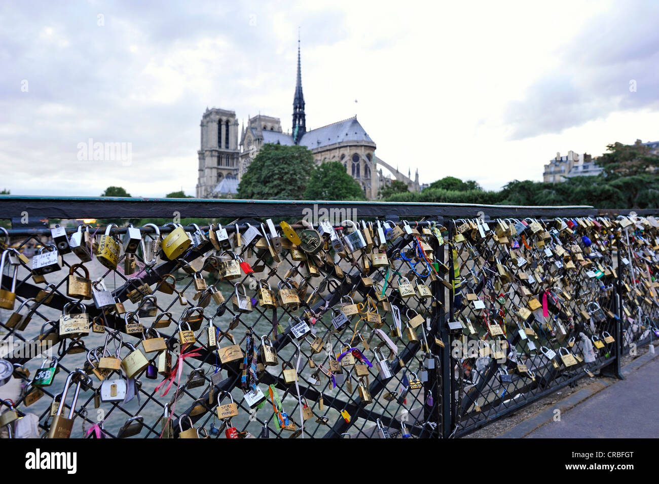 Schlösser der Liebe auf dem Geländer der Brücke Pont de L'Archeveche, hinter der Kathedrale Notre-Dame de Paris, Ile De La Cite Stockfoto