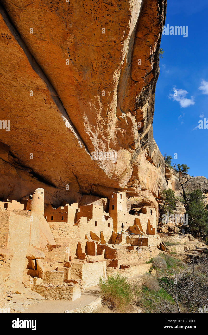 Cliff Palace, Mesa Verde Nationalpark, Colorado, USA Stockfoto