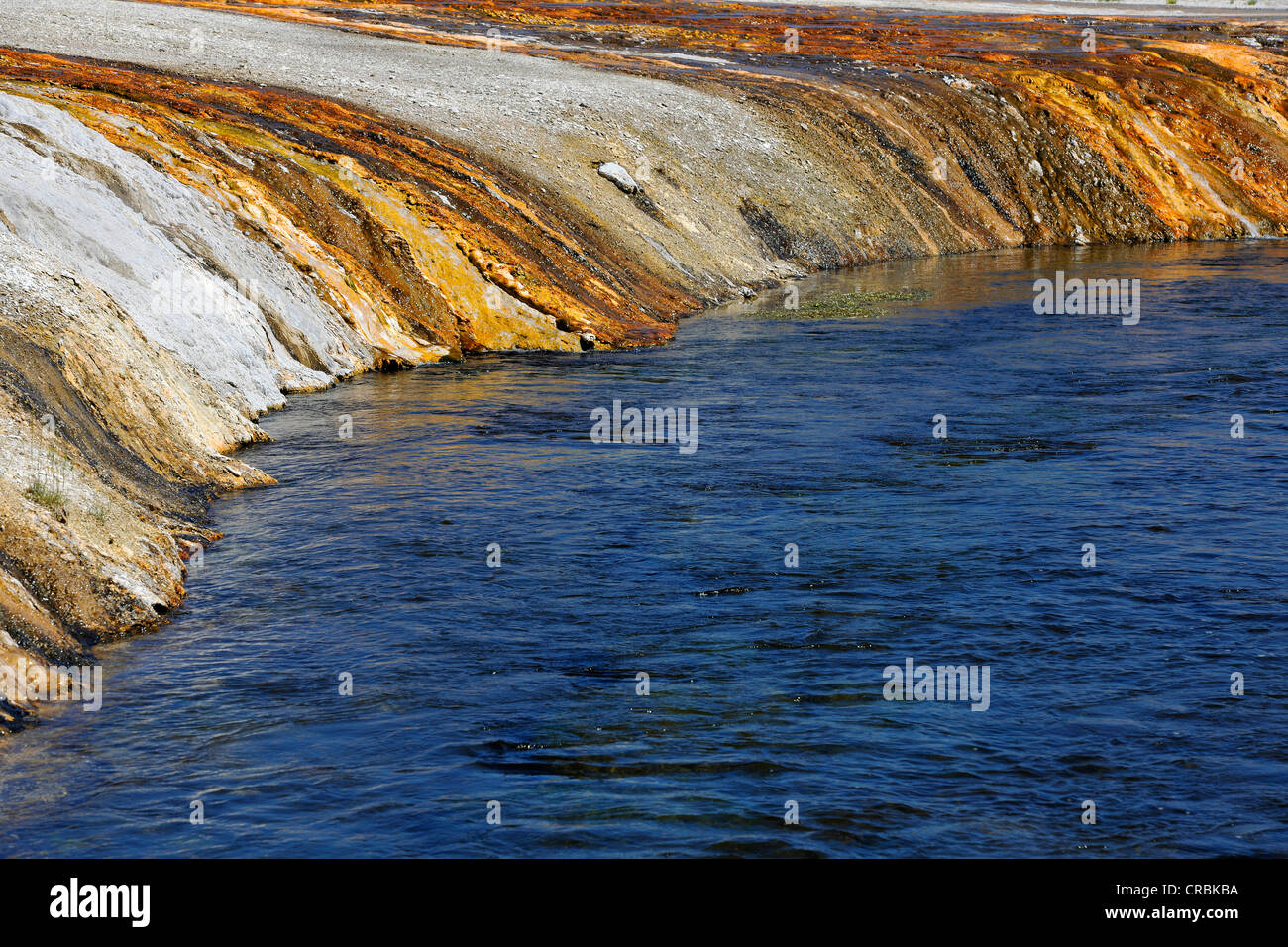Farbige thermophilen Bakterien, Auslass des Cliff Geyser, Firehole River, Black Sand Becken Upper Geyser Basin Stockfoto