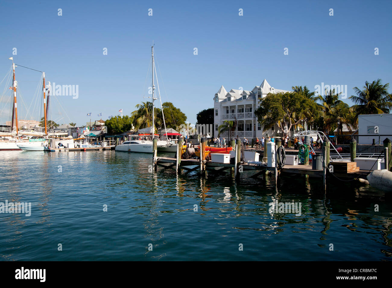 Marina Key West, Florida Keys, Florida, USA Stockfoto