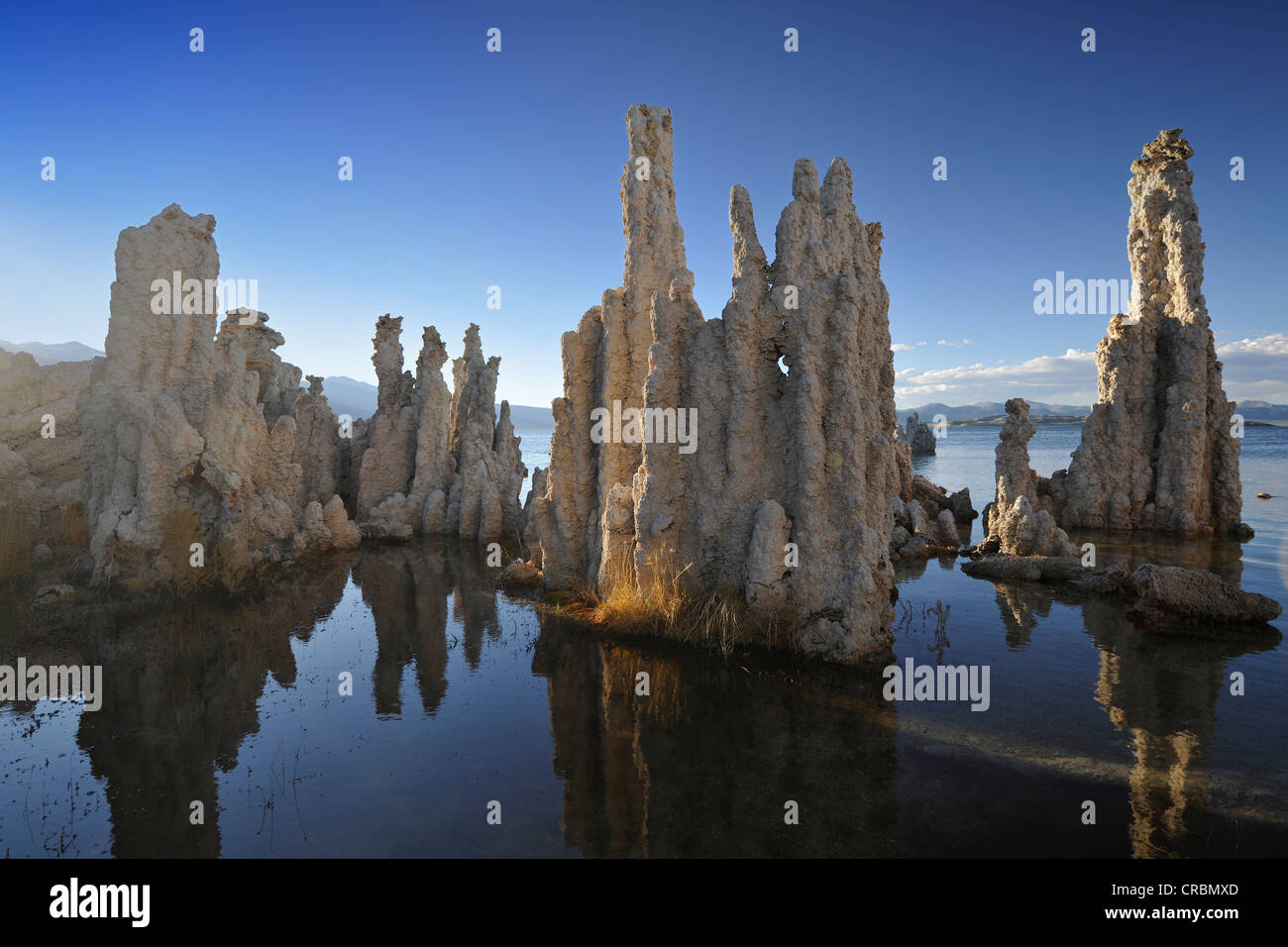 Tuffstein Felsformationen, South Tufa Area, Mono Lake, ein Salzsee, Mono Basin und Range Region, Sierra Nevada, Kalifornien Stockfoto