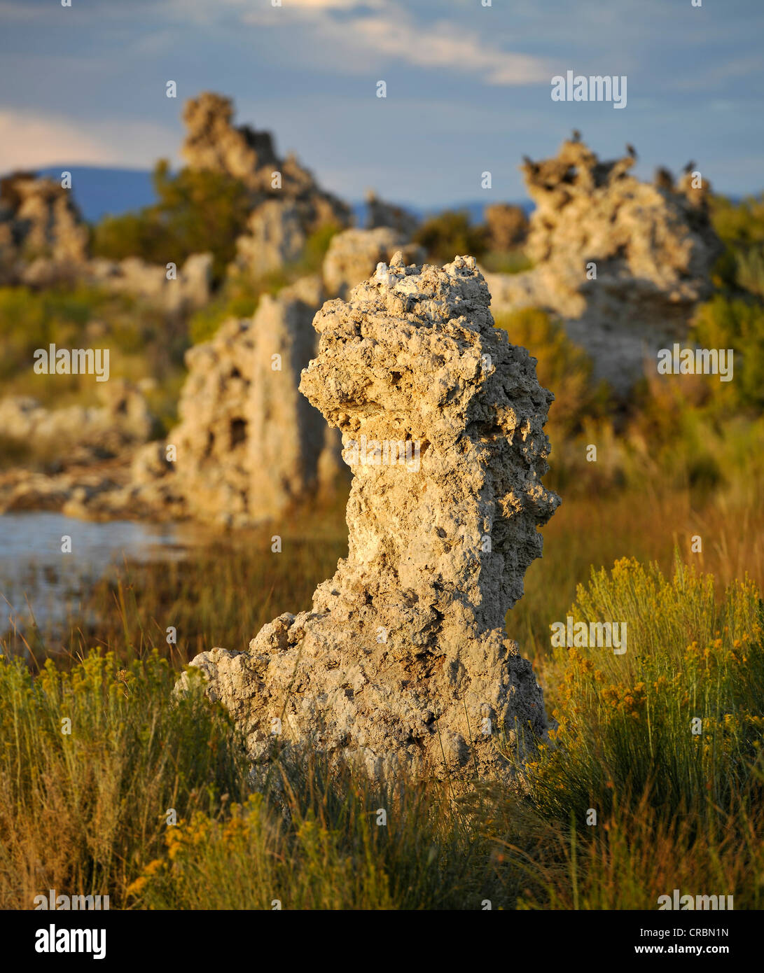 Tuffstein Felsformationen, South Tufa Area, Mono Lake, ein Salzsee, Mono Basin und Range Region, Sierra Nevada, Kalifornien Stockfoto