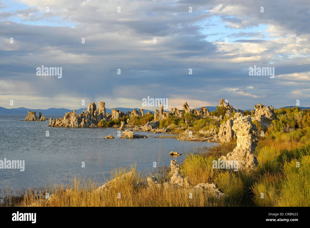 Tuffstein Felsformationen, South Tufa Area, Mono Lake, ein Salzsee, Mono Basin und Range Region, Sierra Nevada, Kalifornien Stockfoto