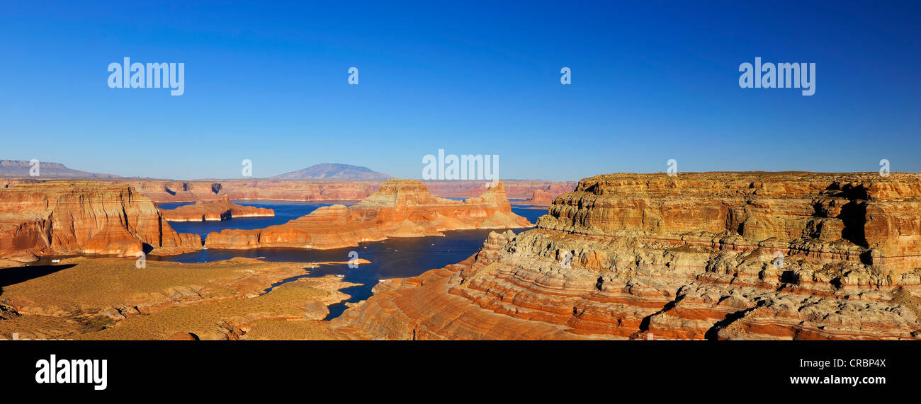 Panoramablick von Alstom Punkt der Lake Powell mit Gunsight Butte und Navajo Mountain, Hausboote, Bigwater, Glen Canyon Stockfoto