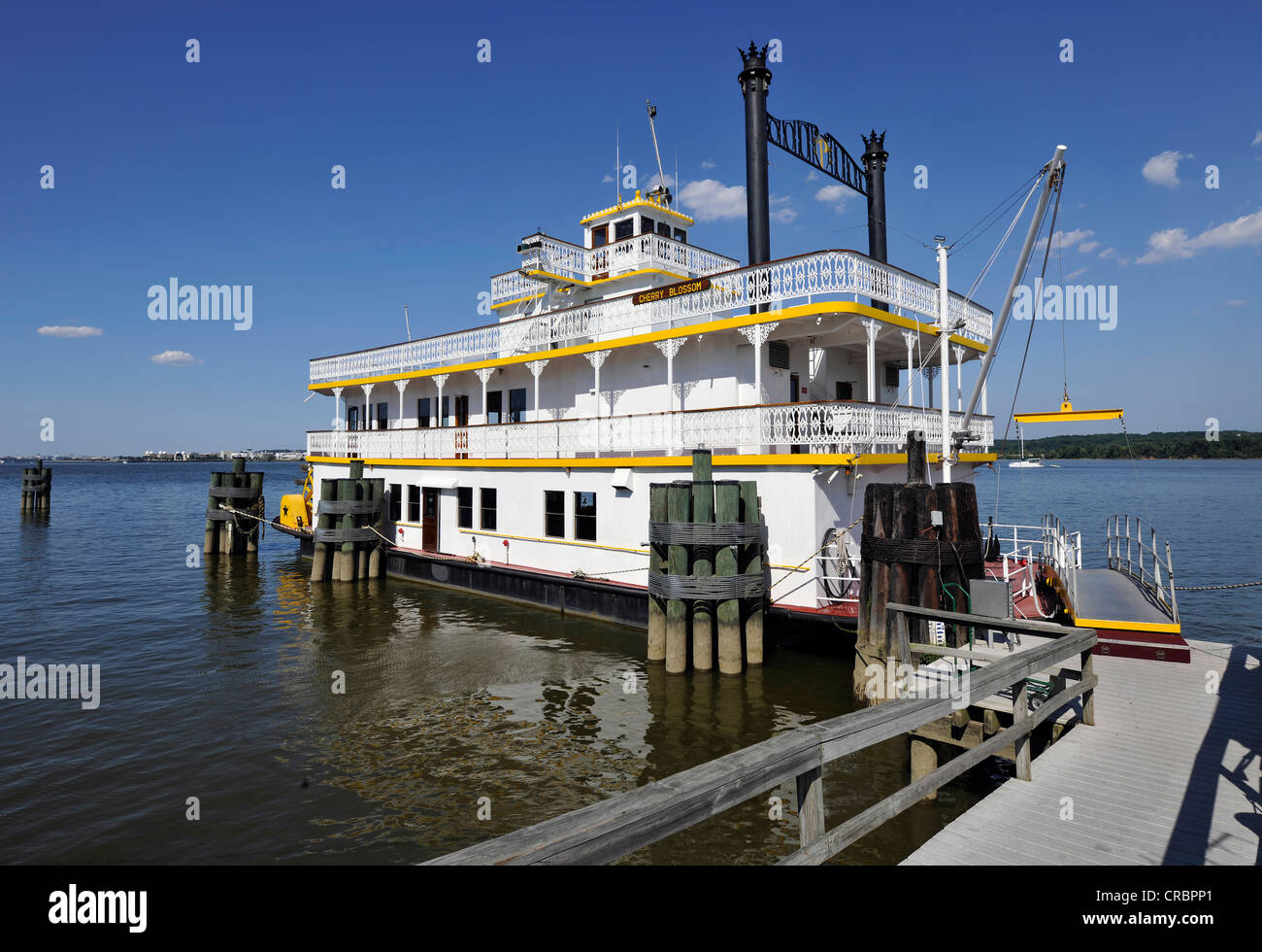 Cherry Blossom Paddel Boot, Alexandria National Harbor, Waterfront, alte Stadt von Alexandria, Virginia, Vereinigte Staaten von Amerika Stockfoto