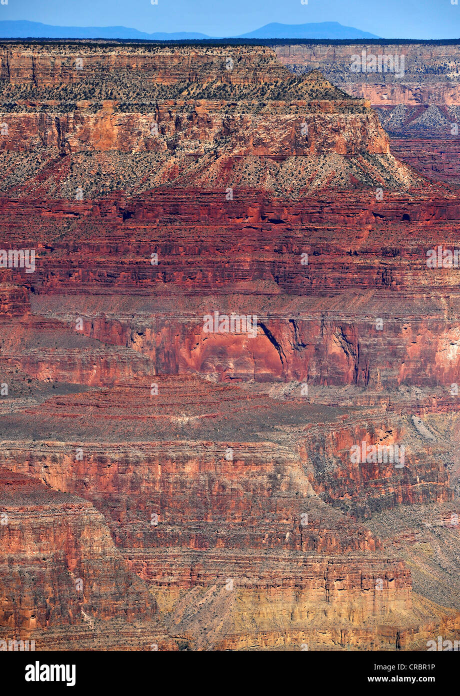 Ansicht der verschiedenen Gesteinsschichten aus Hopi Point Lookout, Grand Canyon National Park, Mount Trumbull an Rücken, South Rim, Arizona Stockfoto