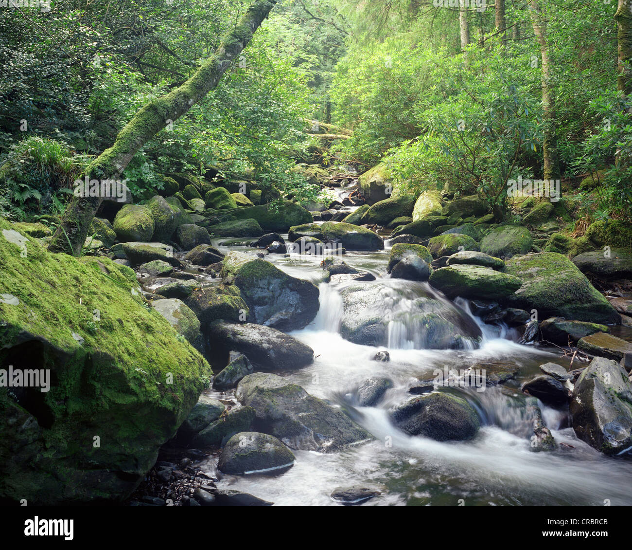 Zeitraffer der rauschenden Fluss über Felsen Stockfoto