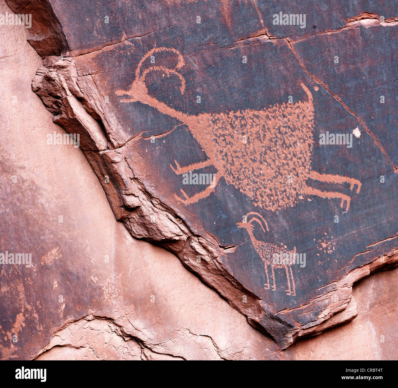 Petroglyphen in Sandstein, Symbole, prähistorische und historische Felsmalereien, Wandzeichnungen von Anasazi Indianer geätzt Stockfoto