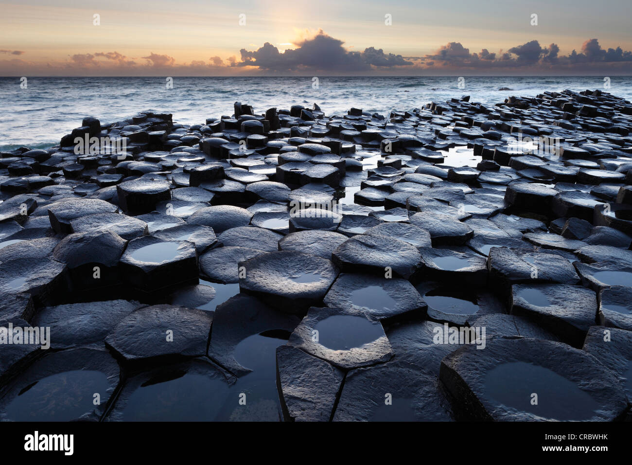 Basalt Säulen, Giant es Causeway, Causeway-Küste, County Antrim, Nordirland, Vereinigtes Königreich, Europa Stockfoto