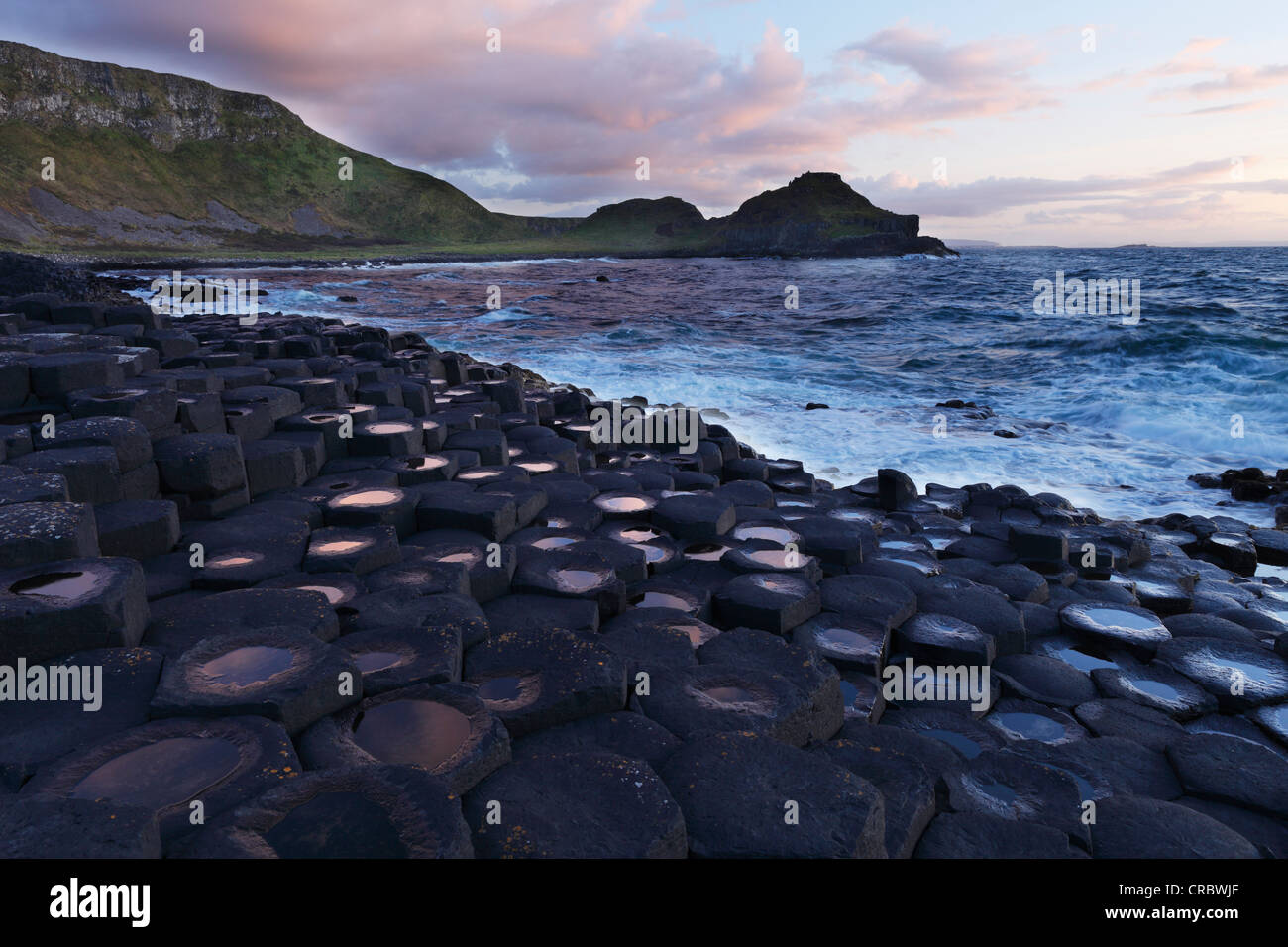 Basalt Säulen, Giant es Causeway, Causeway-Küste, County Antrim, Nordirland, Vereinigtes Königreich, Europa Stockfoto