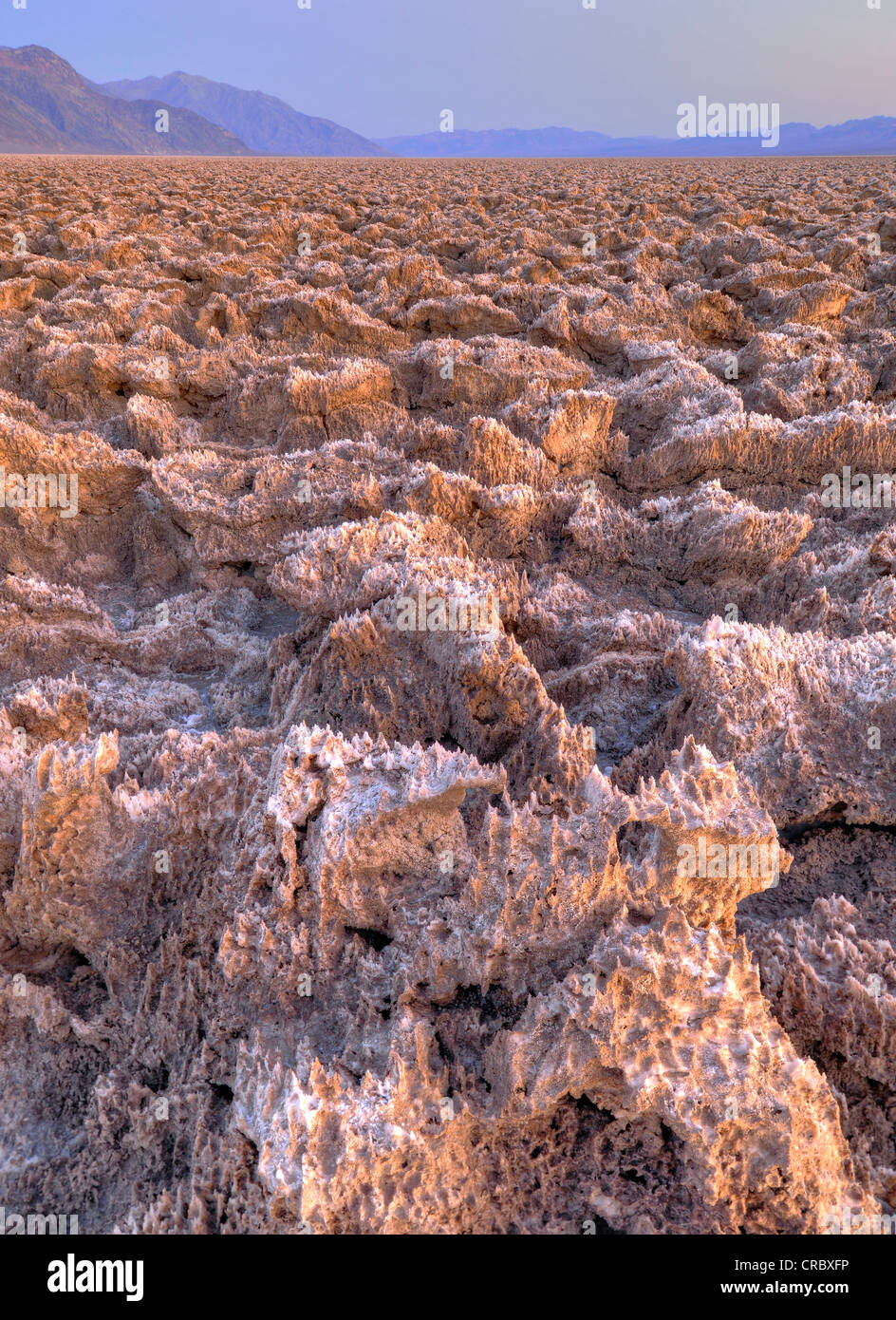 Salz-Kruste auf des Teufels Golfplatz, Sonnenuntergang, Panamint Range, schwarzen Berge, Death Valley Nationalpark, Mojave-Wüste Stockfoto