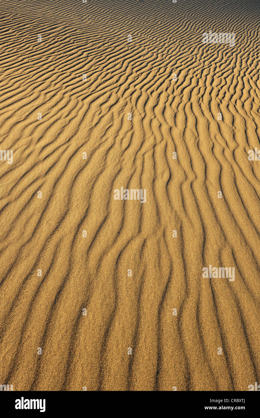 Ripple Spuren in den Sand von den Mesquite flache Sanddünen, frühen Morgenlicht, Stovepipe Wells, Death Valley Nationalpark Stockfoto
