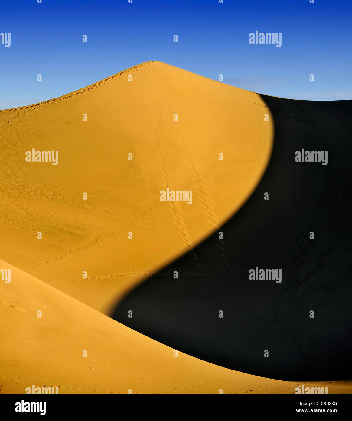 Sterne Düne, der höchsten Düne von den Mesquite flache Sanddünen, bekannt aus Star Wars, frühen Morgenlicht, Stovepipe Wells Stockfoto