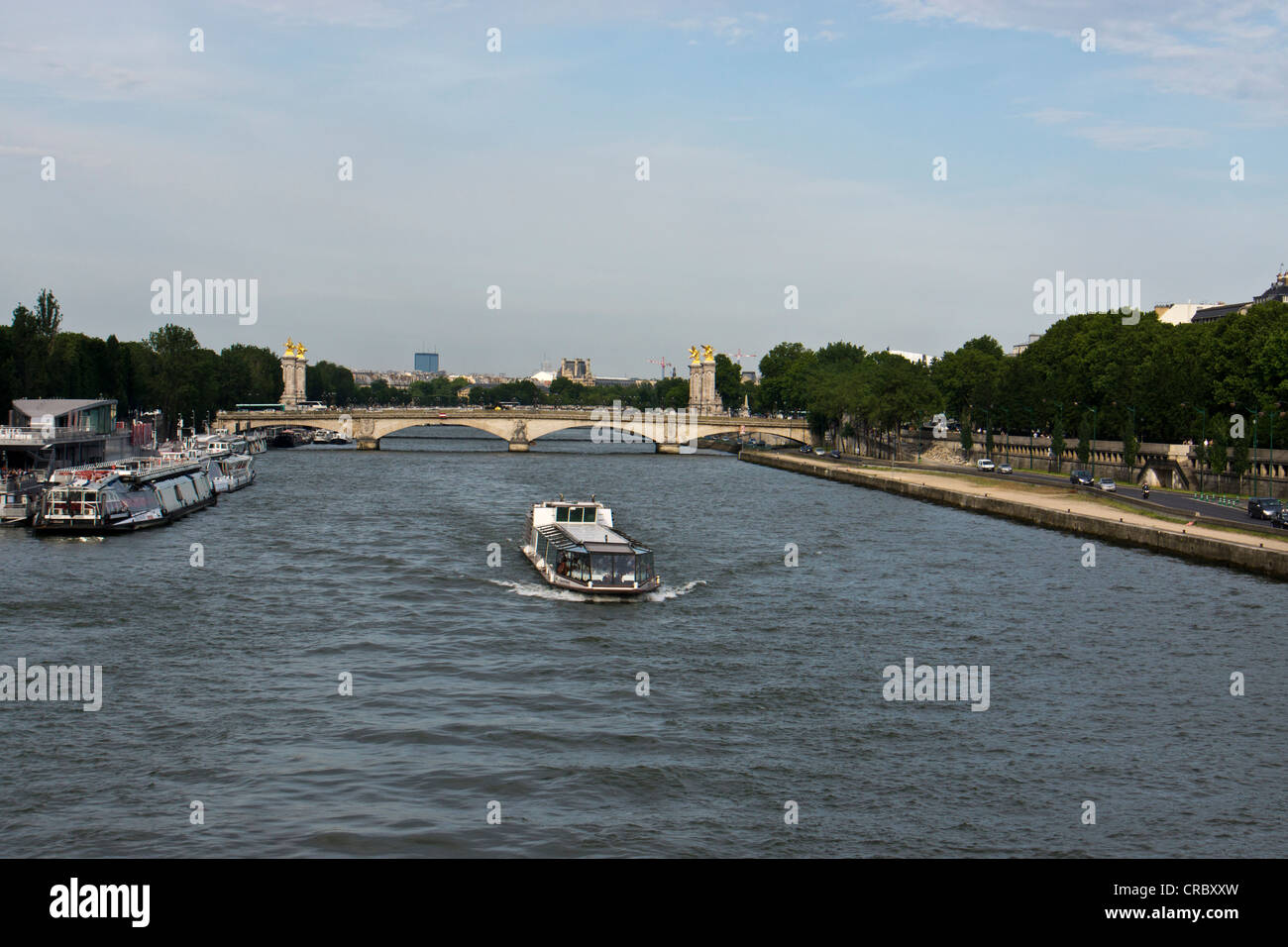 Bootstour auf dem Fluss Sein in Paris Frankreich mit der Brücke Pont Alexander III im Hintergrund Stockfoto