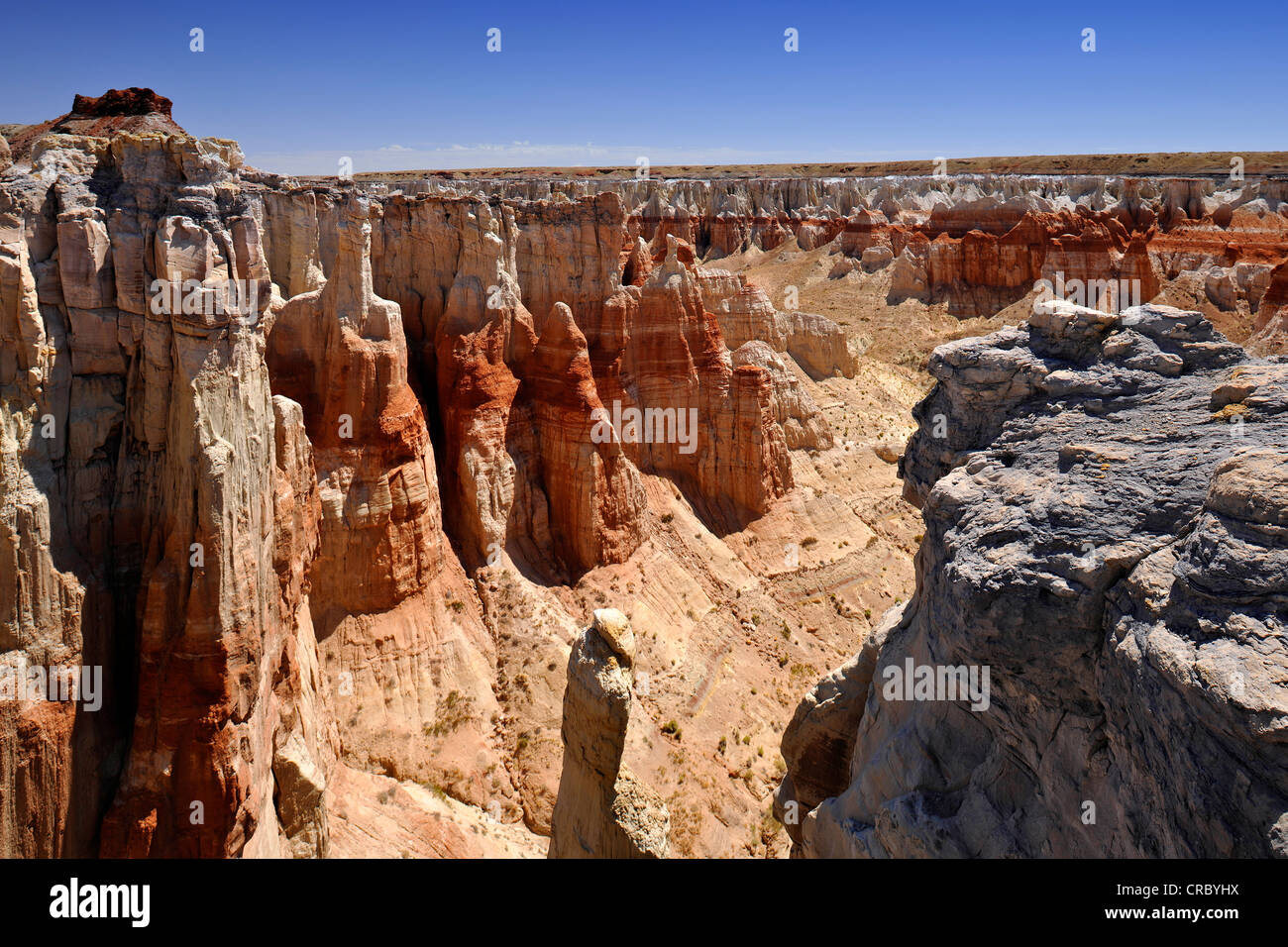 Erodierte Hoodoos und Felsformationen in der Coal Mine Canyon, gefärbt durch Mineralien, Coal Mine Mesa, Painted Desert Stockfoto