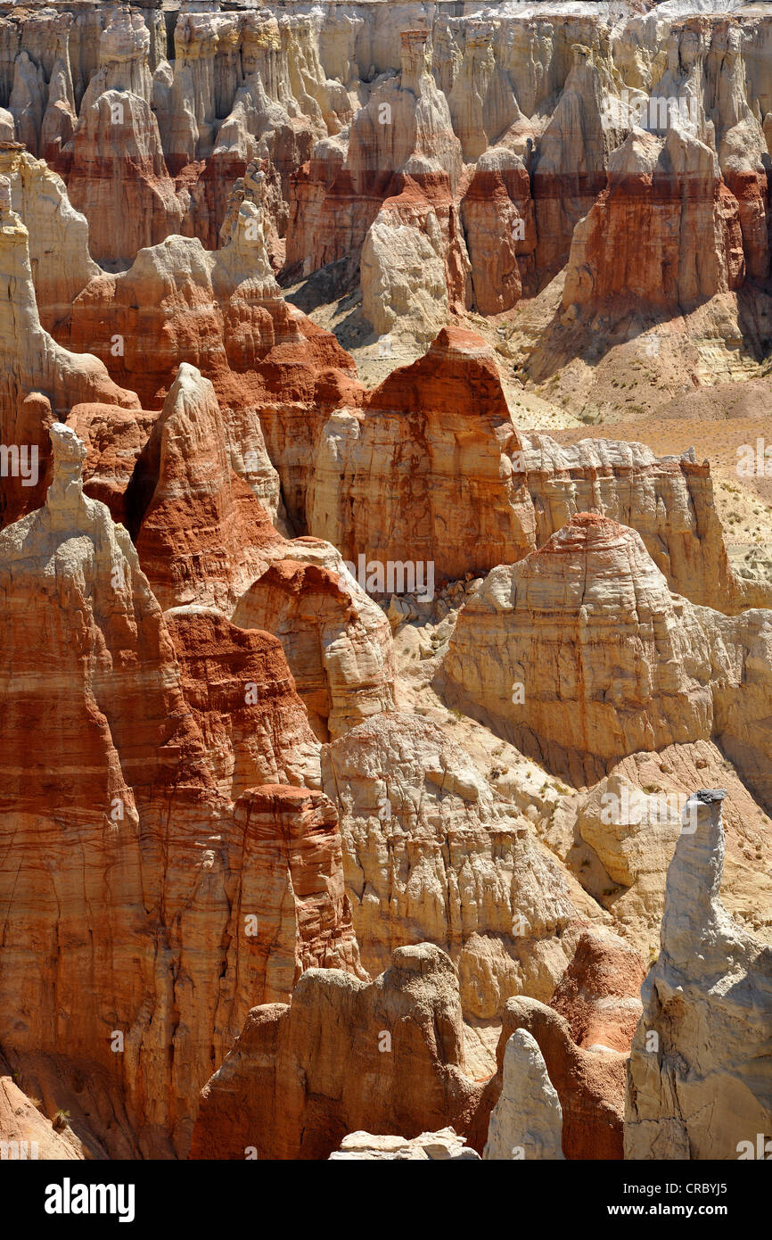 Erodierte Hoodoos und Felsformationen in der Coal Mine Canyon, gefärbt durch Mineralien, Coal Mine Mesa, Painted Desert Stockfoto
