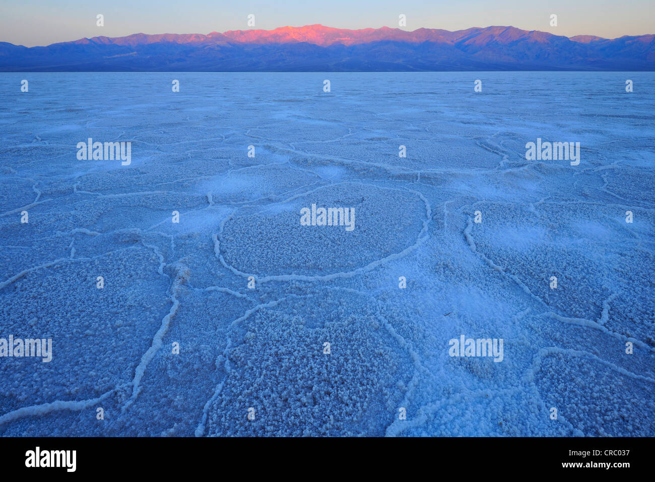 Salz Pfanne, Salzkristalle, Sonnenaufgang in Badwater Basin über Panamint Range, Death Valley Nationalpark, Mojave-Wüste, Kalifornien Stockfoto