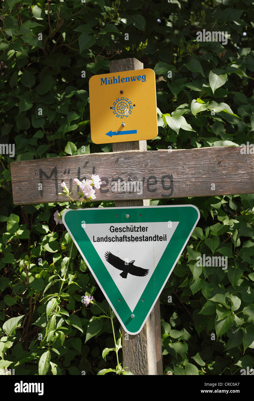 Melden Sie sich für den Muehlenweg Trail, Schwabsoien, Pfaffenwinkel, Upper Bavaria, Bavaria, Germany, Europe, PublicGround Stockfoto