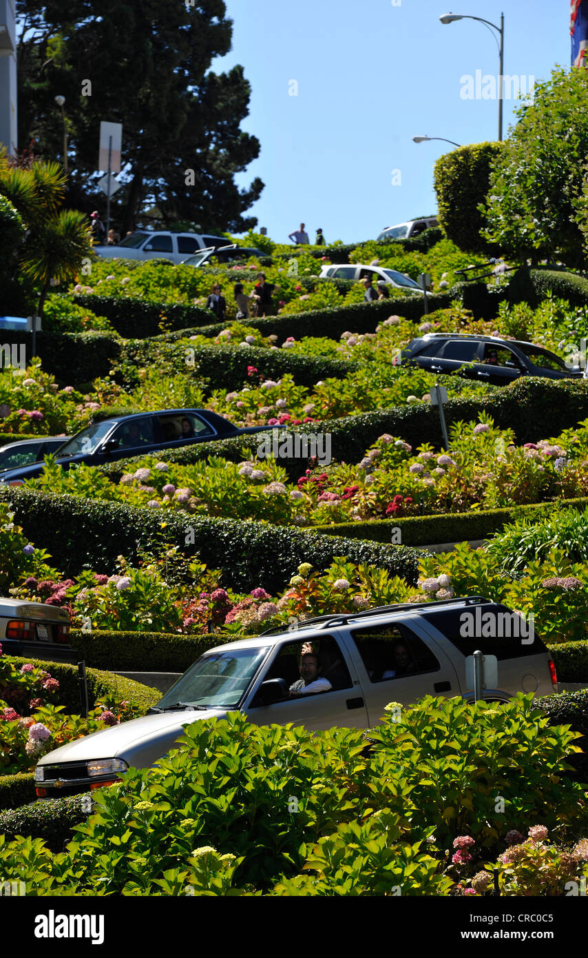 Autos und Touristen auf Lombard Street, San Francisco, California, Vereinigte Staaten von Amerika, USA, PublicGround Stockfoto