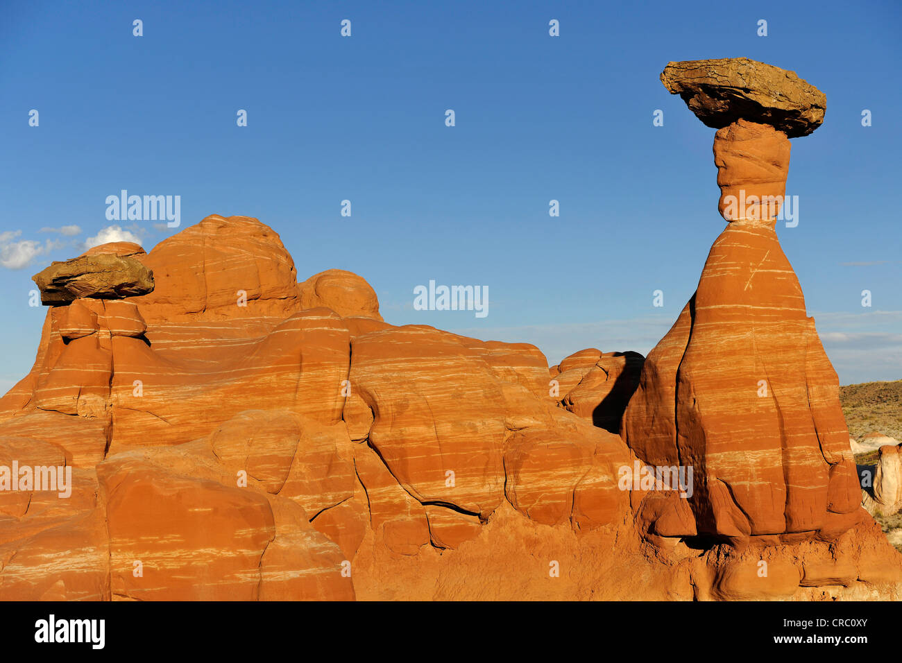 Ersten Hoodoo, auch bekannt als Toadstool Hoodoo oder Lucky Luke, Toadstool Hoodoos, Rimrocks, Grand Treppe Escalante National Stockfoto