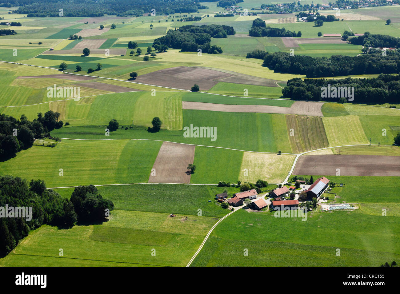 Kulturlandschaft mit Dorf Reichenkam, Muensing, Luftaufnahme, Upper Bavaria, Bayern, Deutschland, Europa Stockfoto