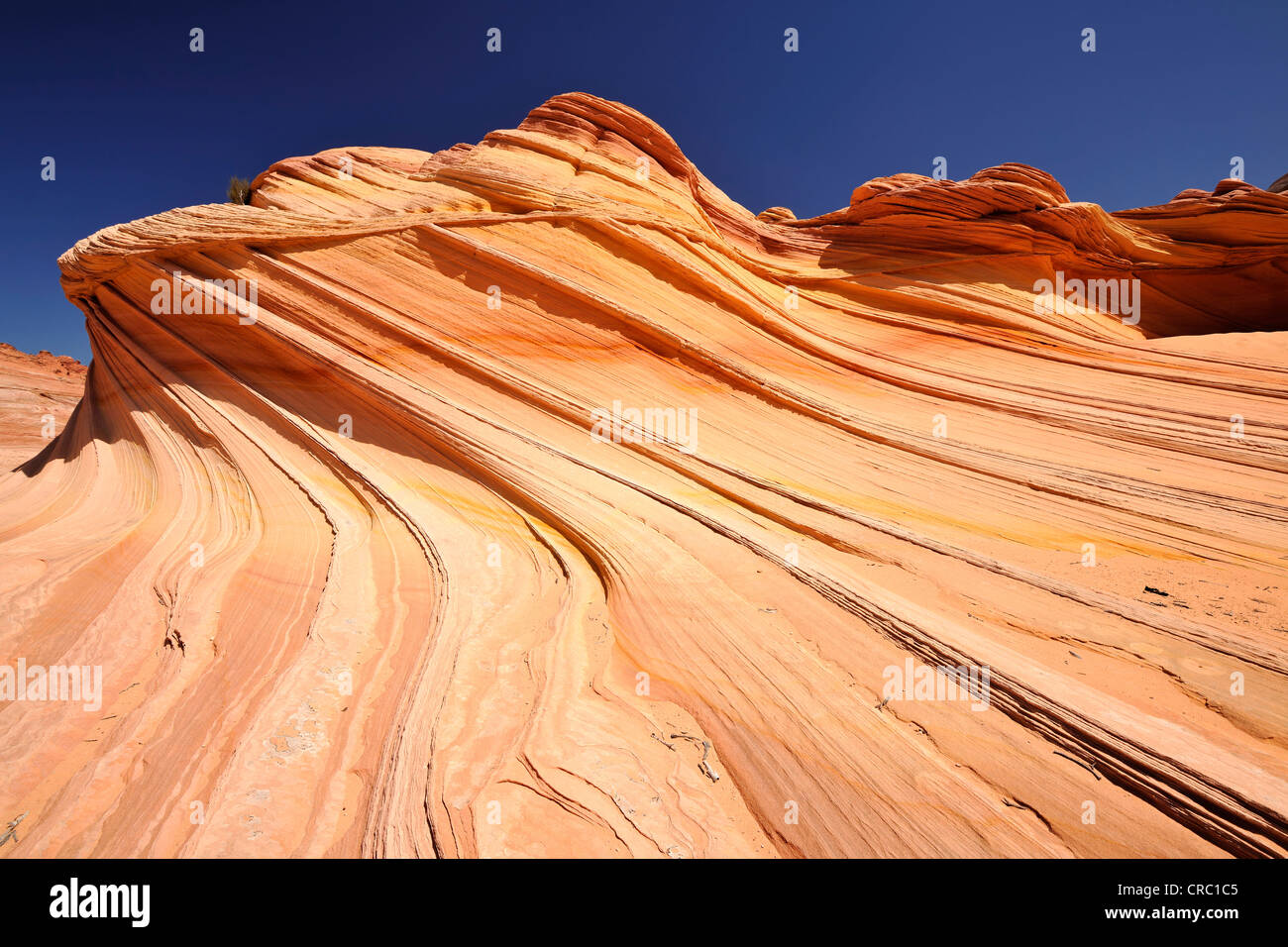 Die zweite Welle, gebändert erodiert Navajo Sandsteinfelsen mit Liesegang Bands, Liesegang oder Liesegangen Ringe, North Coyote Stockfoto