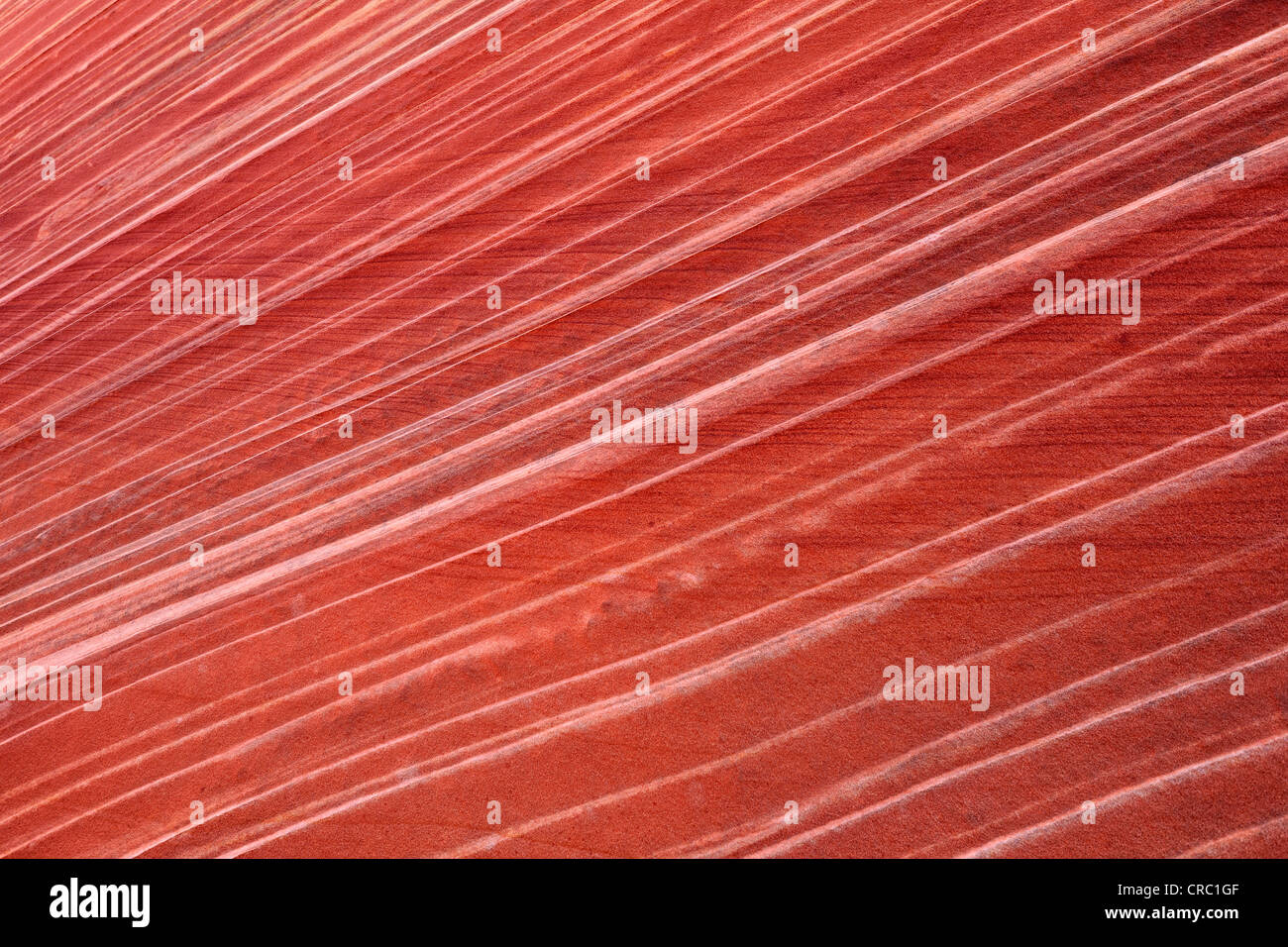 Detail der typischen Liesegang Bands, Liesegangen Ringe oder Liesegang-Ringe, The Wave, gebändert erodierten Navajo Sandsteinfelsen, Norden Stockfoto