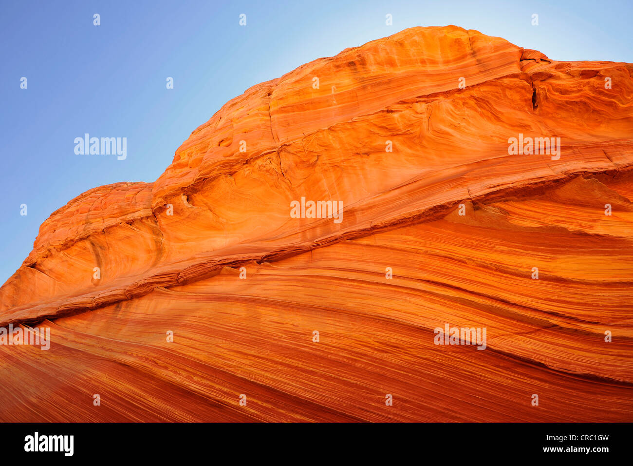 Detail der typischen Liesegang Bands, Liesegangen Ringe oder Liesegang-Ringe, The Wave, gebändert erodierten Navajo Sandsteinfelsen, Norden Stockfoto
