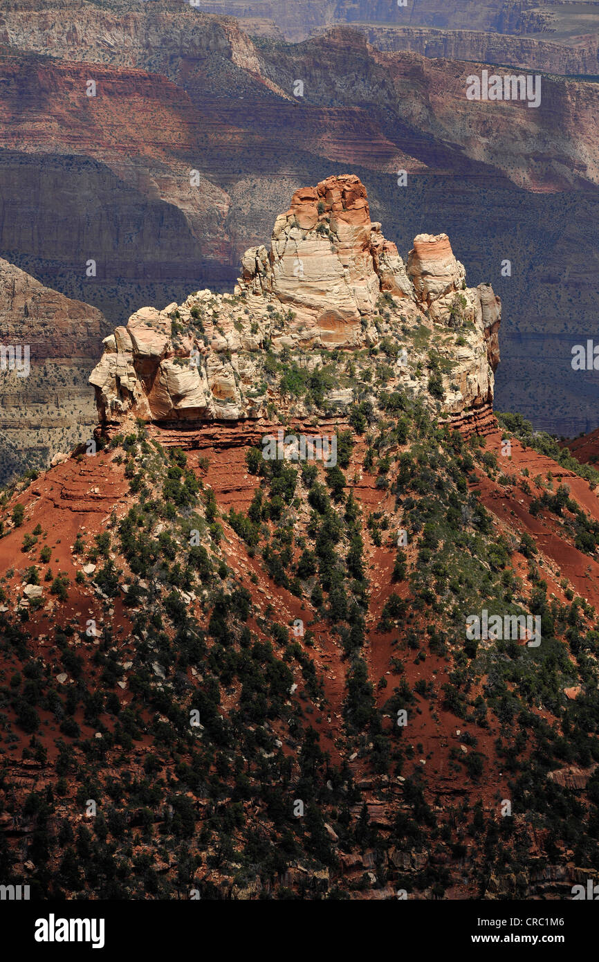 Blick vom Aussichtspunkt Vista Encantada in Grand Canyon National Park, North Rim, Arizona, Vereinigte Staaten von Amerika, USA Stockfoto