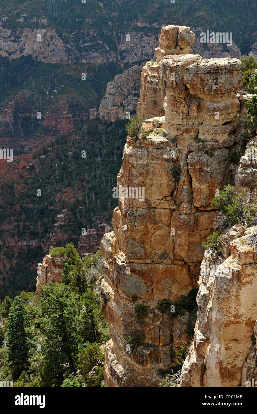 Blick vom Aussichtspunkt Vista Encantada in Grand Canyon National Park, North Rim, Arizona, Vereinigte Staaten von Amerika, USA Stockfoto