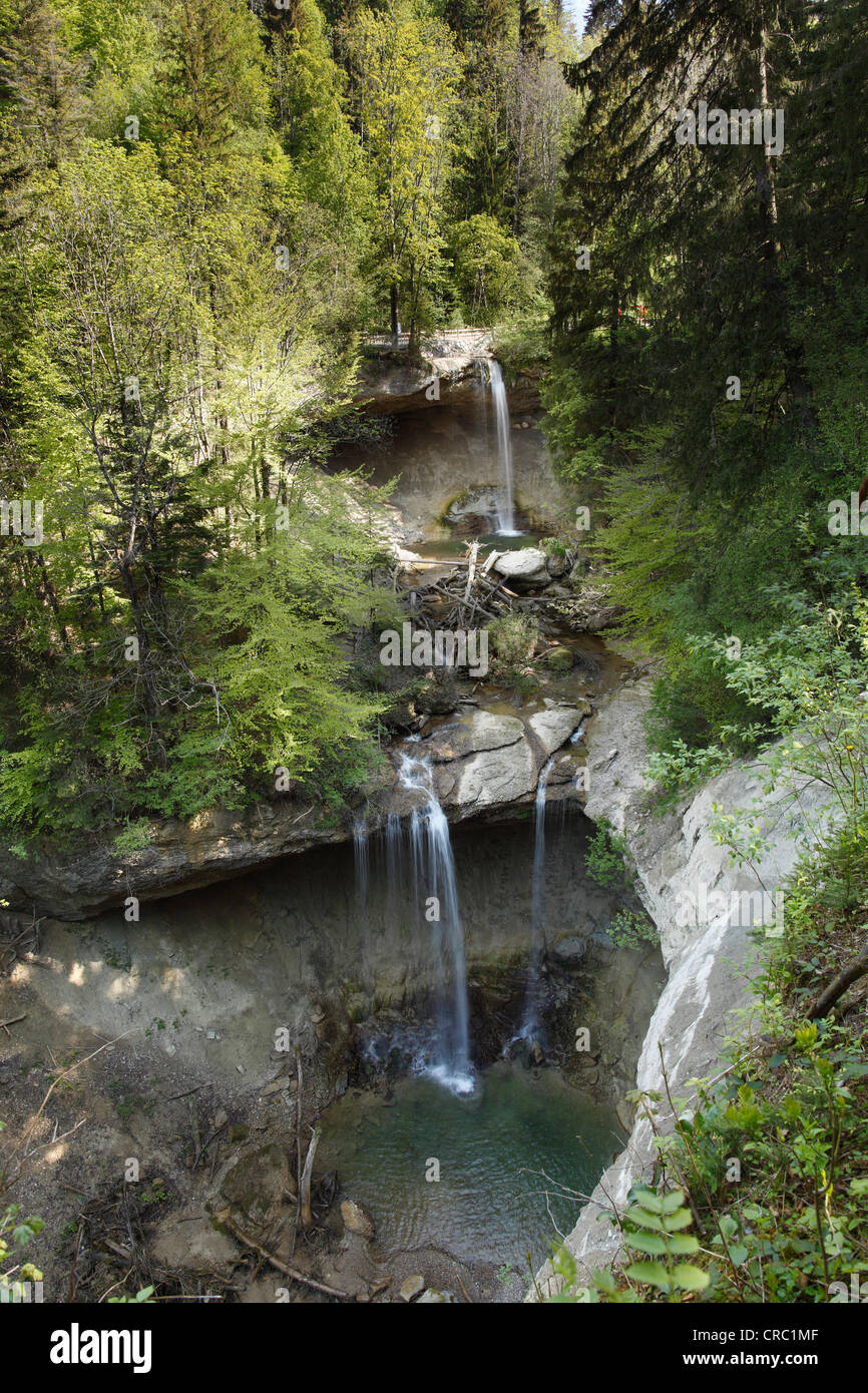 Scheidegger Wasserfaelle Wasserfälle, Scheidegg, Westallgaeu, Allgäu, Schwaben, Bayern, Deutschland, Europa Stockfoto