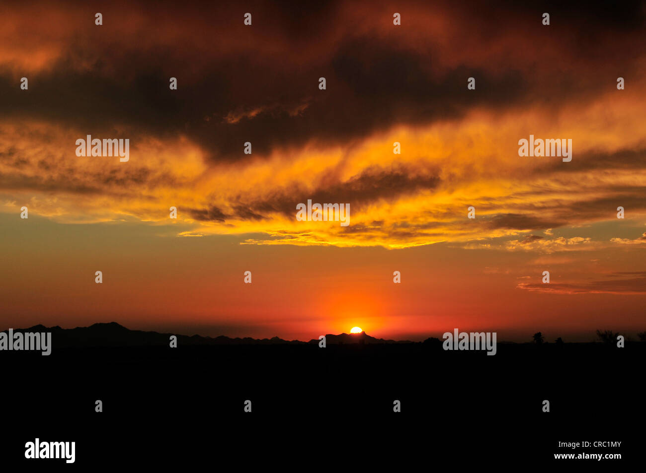 Ein Sonnenuntergang färbt den Himmel am ersten Tag der Monsun-Saison in der Sonora-Wüste, Tucson, Arizona, USA. Stockfoto