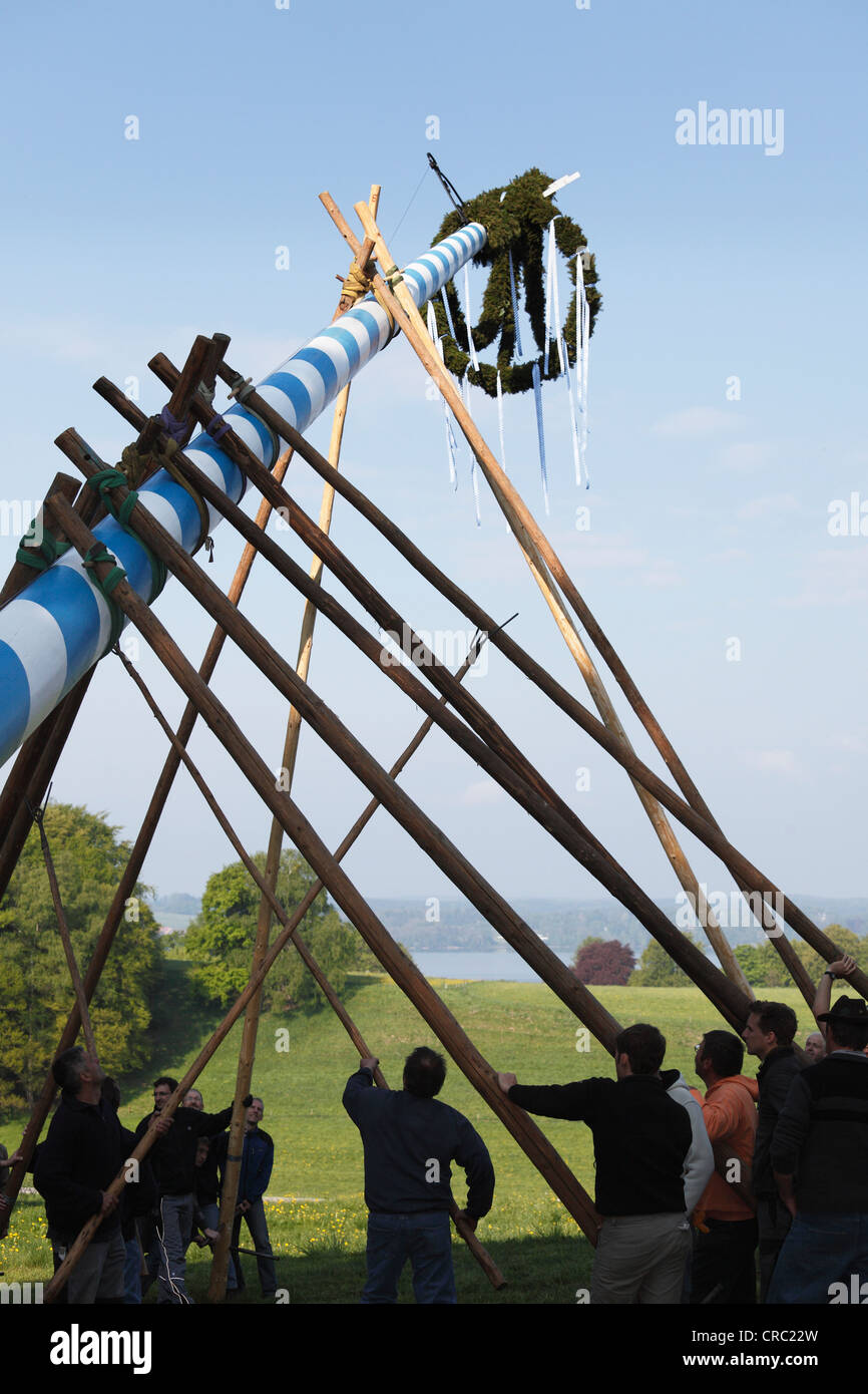 Anhebung den Maibaum, am Holzhausen Starnberger See, Muensing Gemeinschaft, Upper Bavaria, Bayern, Deutschland, Europa Stockfoto